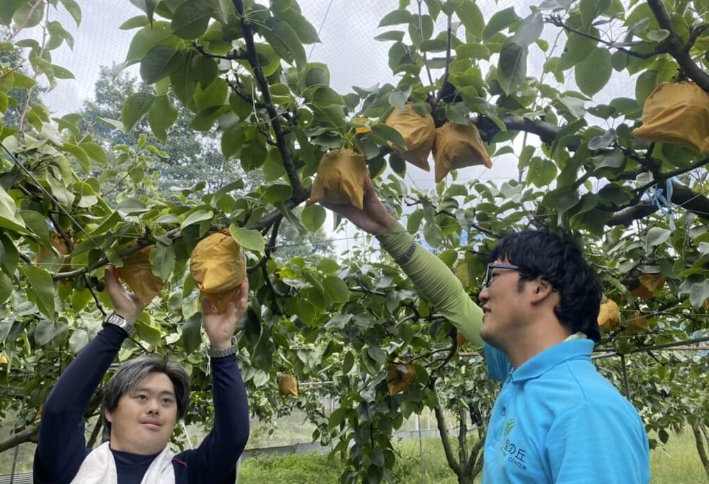 就労継続B型事業所 望の丘ワークセンター