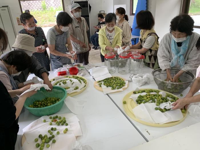 家族会作業　うめぼし＆らっきょう漬け