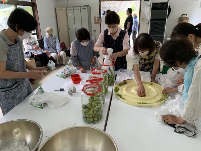 家族会作業　うめぼし＆らっきょう漬け