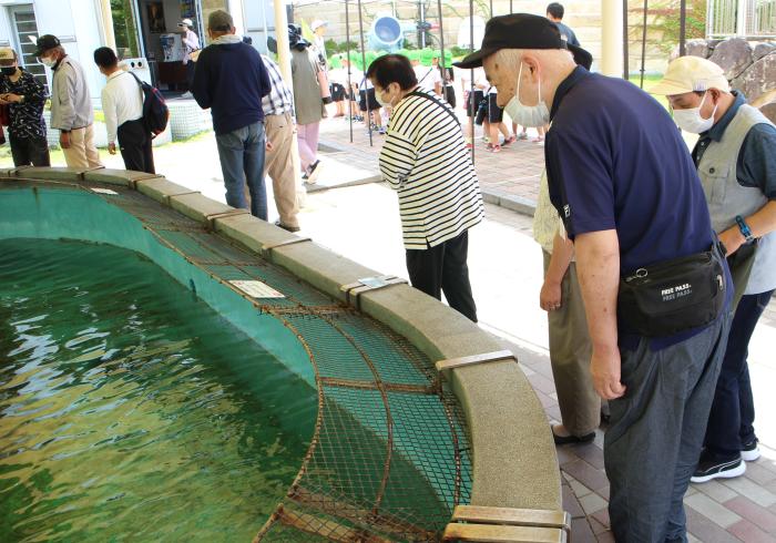 渋川マリン水族館　散策の様子《ゆったりコース》